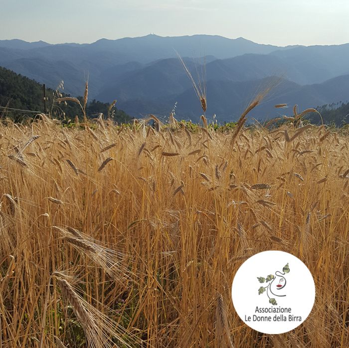 Corso BIRRA E VALORIZZAZIONE DEL TERRITORIO, CURIOSITA’ E DEGUSTAZIONE (3 ore)